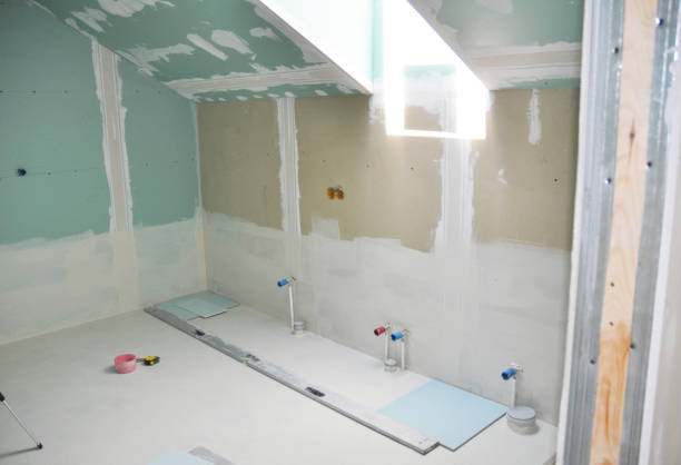 Best Mold-Related Health Consultation  in Englewood, CO