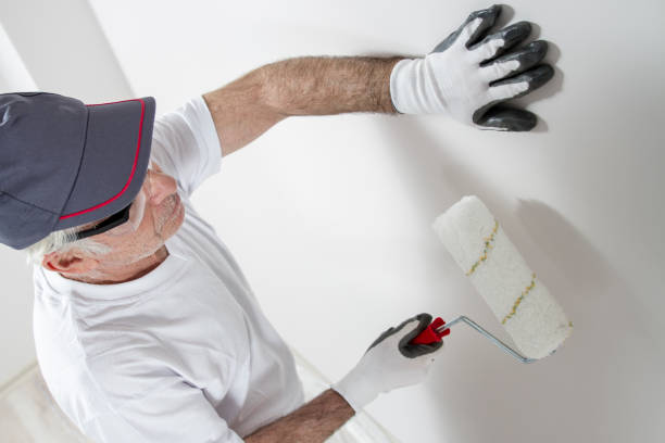 Best Basement Mold Removal  in Englewood, CO