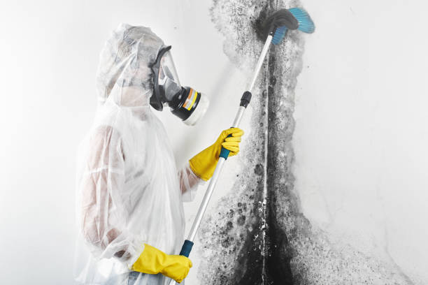 Best Forensic Mold Investigation  in Englewood, CO