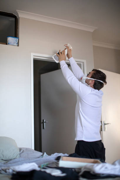 Best Water Damage & Mold Remediation  in Englewood, CO
