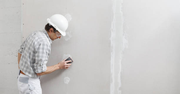 Best Emergency Mold Remediation  in Englewood, CO