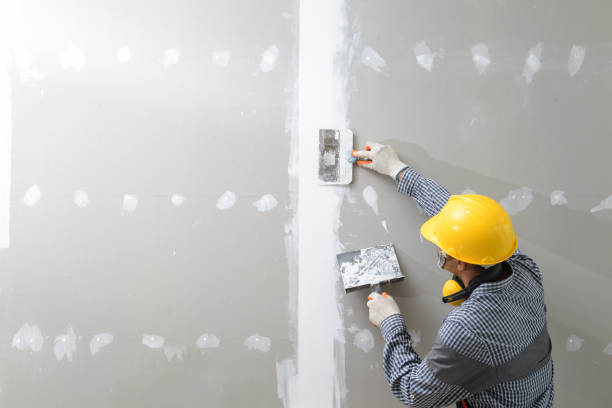 Dehumidification Services in Englewood, CO