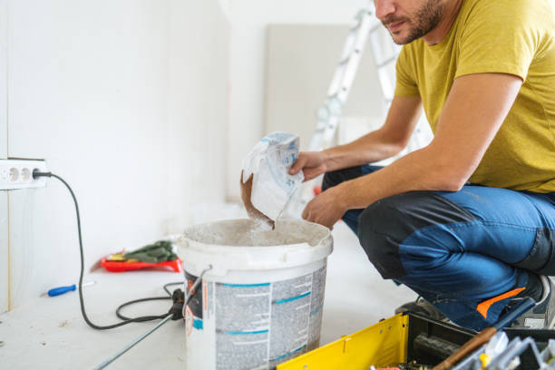 Professional Mold Removal in Englewood, CO
