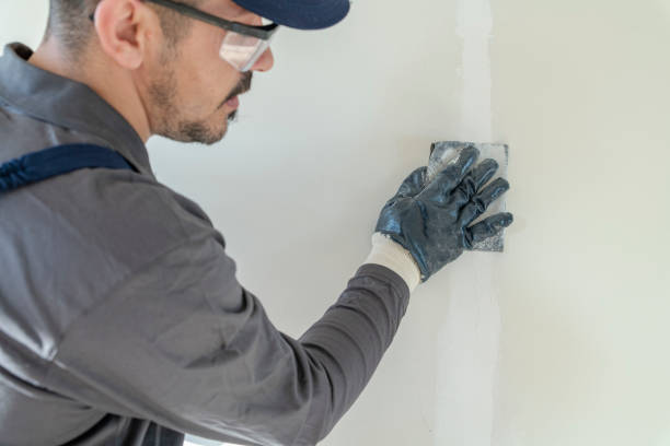 Best Post-Construction Mold Inspection  in Englewood, CO