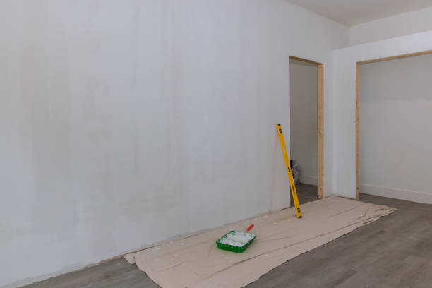 Best Crawl Space Mold Remediation  in Englewood, CO