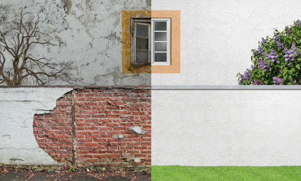 Best Mold Damage Restoration  in Englewood, CO