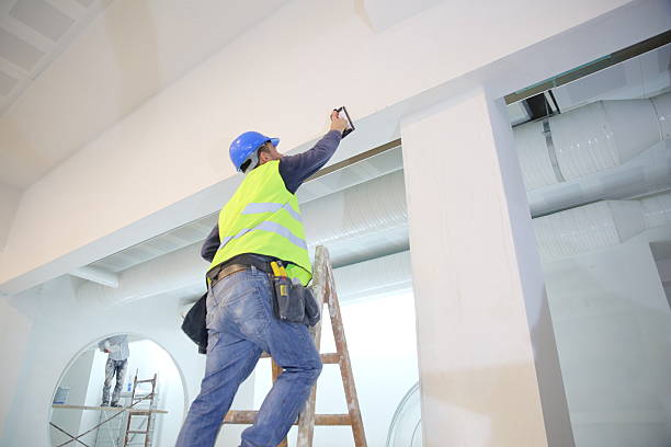 Best Commercial Mold Inspection  in Englewood, CO